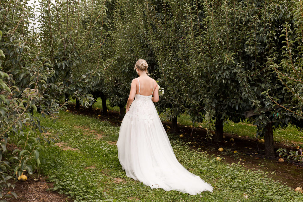 bride in vineyard headed to her first look