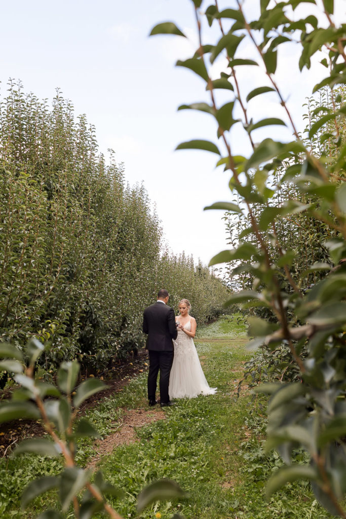bride and groom at the orchard in hood river oregon
