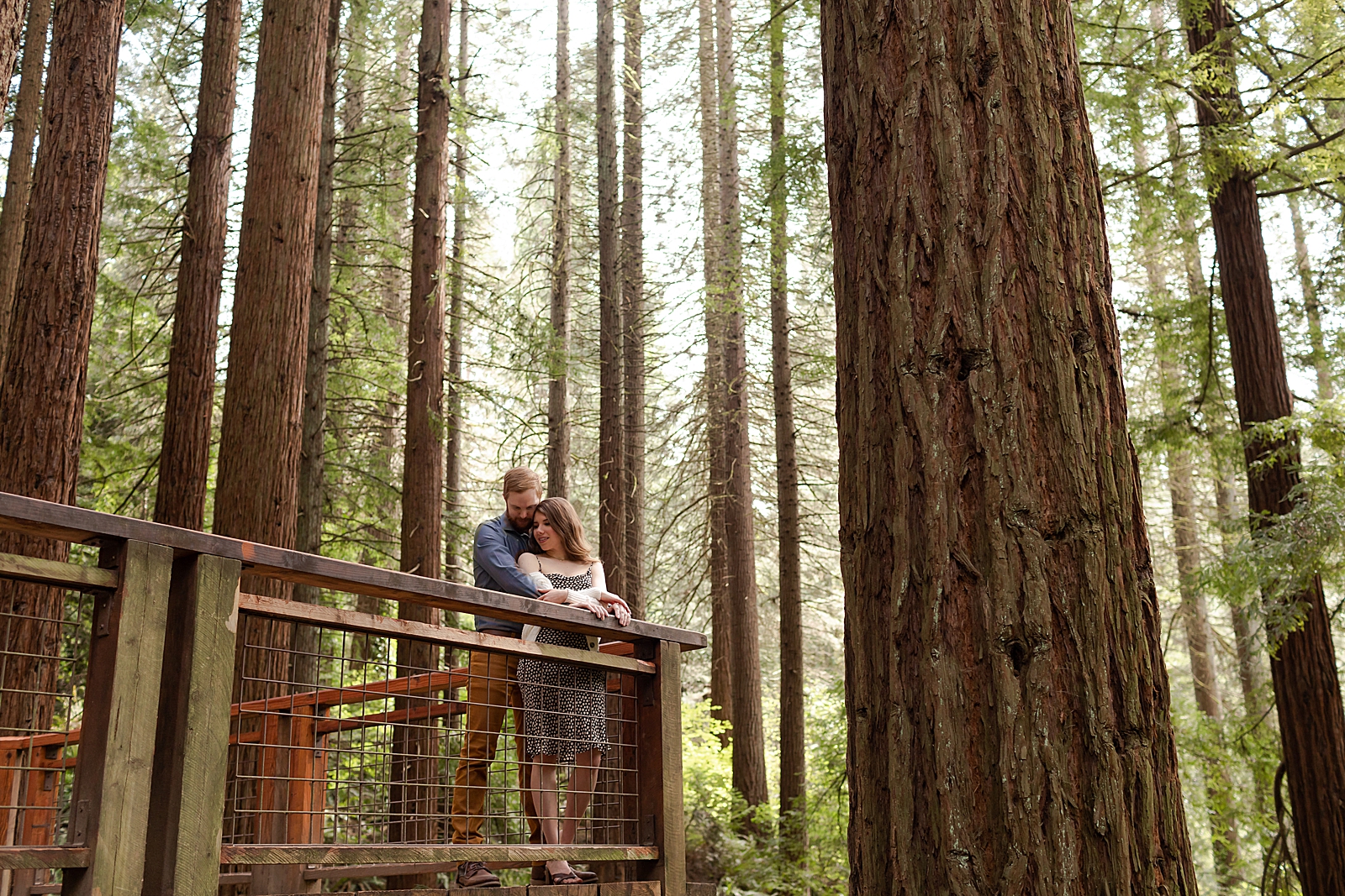 Couple holding each other on deck in tall tree forrest