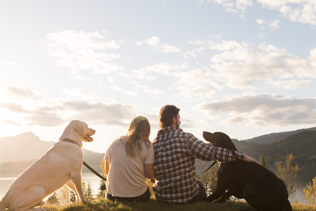 couple watching the sunset with two dogs