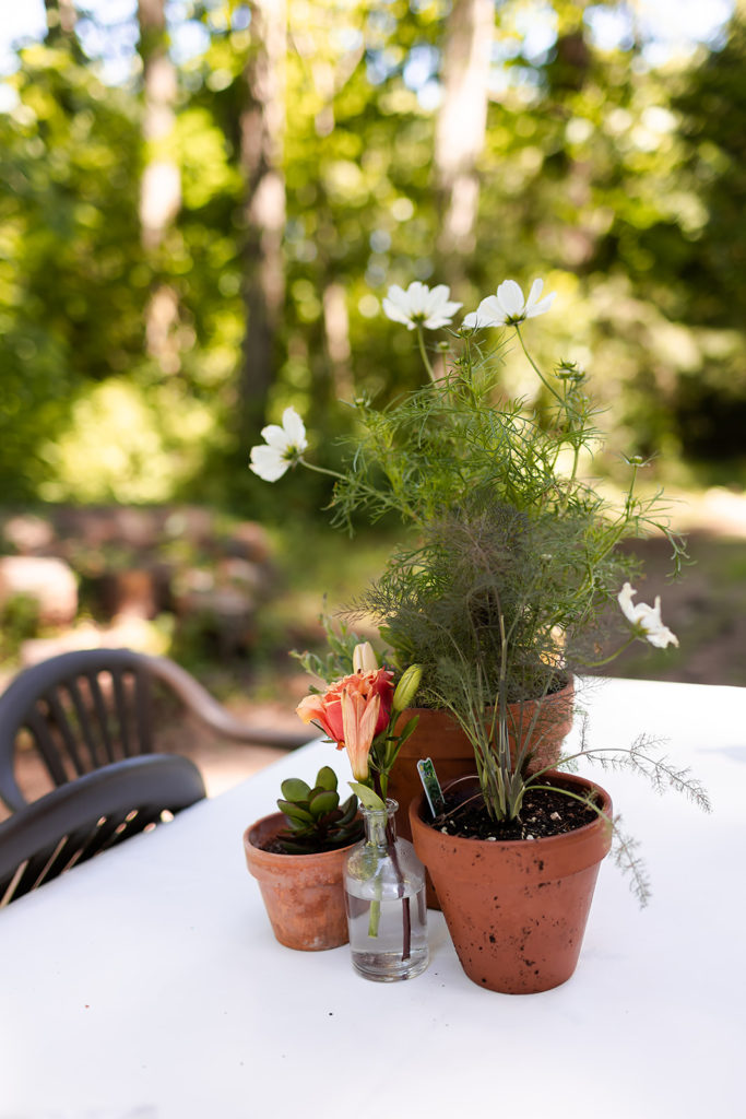 potted herb plant wedding decor