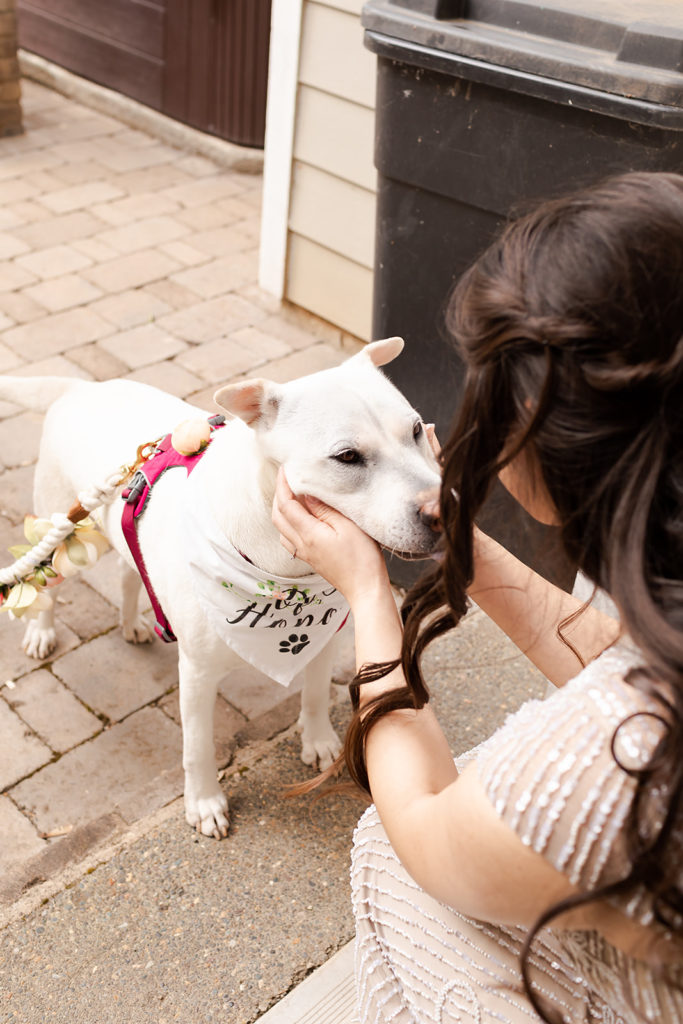 bride with their dog at Romantic Backyard Newberg Wedding Photography