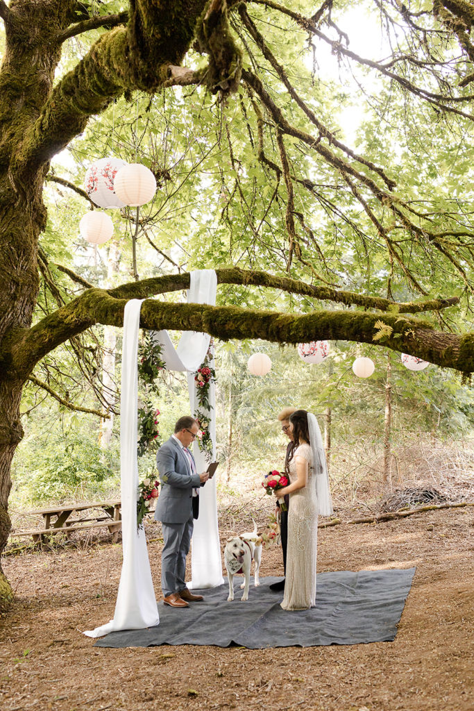 Romantic Backyard Newberg Wedding Photography